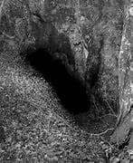 LA STRAGE DELLE FOIBE FOIBE