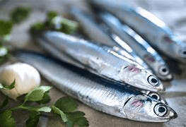 PESCE AZZURRO CIBI DA CONSUMARE OGNI GIORNO
